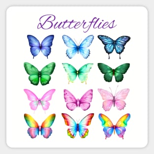 Pretty Colorful Butterflies collection Magnet